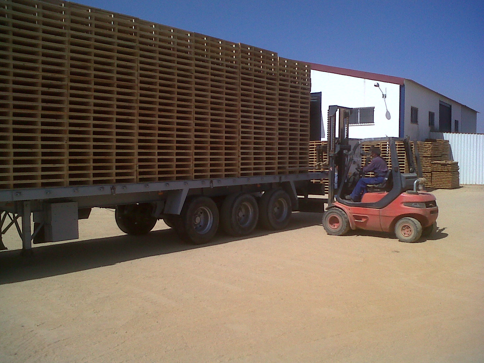 transporte